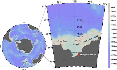 210Po/210Pb Disequilibria and Its Estimate of Particulate Organic Carbon Export Around Prydz Bay, Antarctica